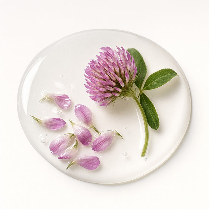 Red Clover Flower Extract