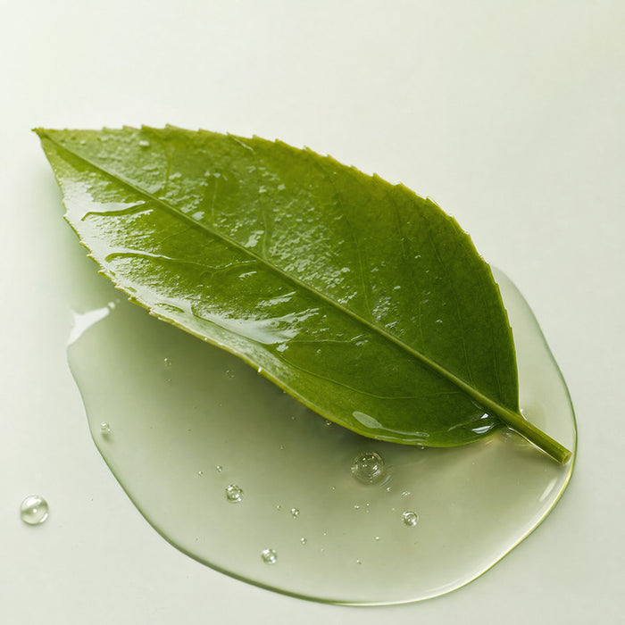 Green Tea Leaf Extract